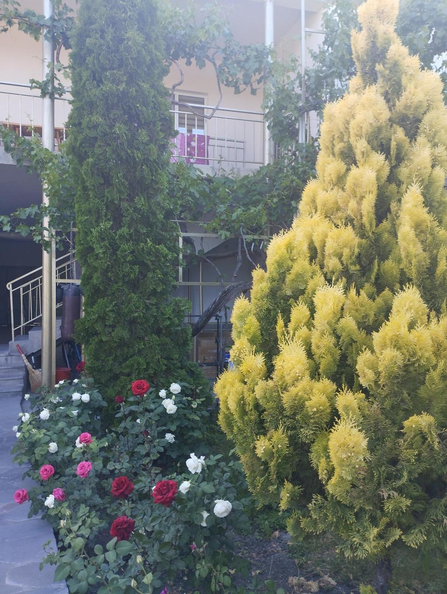 Guest House Hasmik Jechegnadzor Buitenkant foto